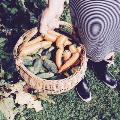 Basket of vegetables